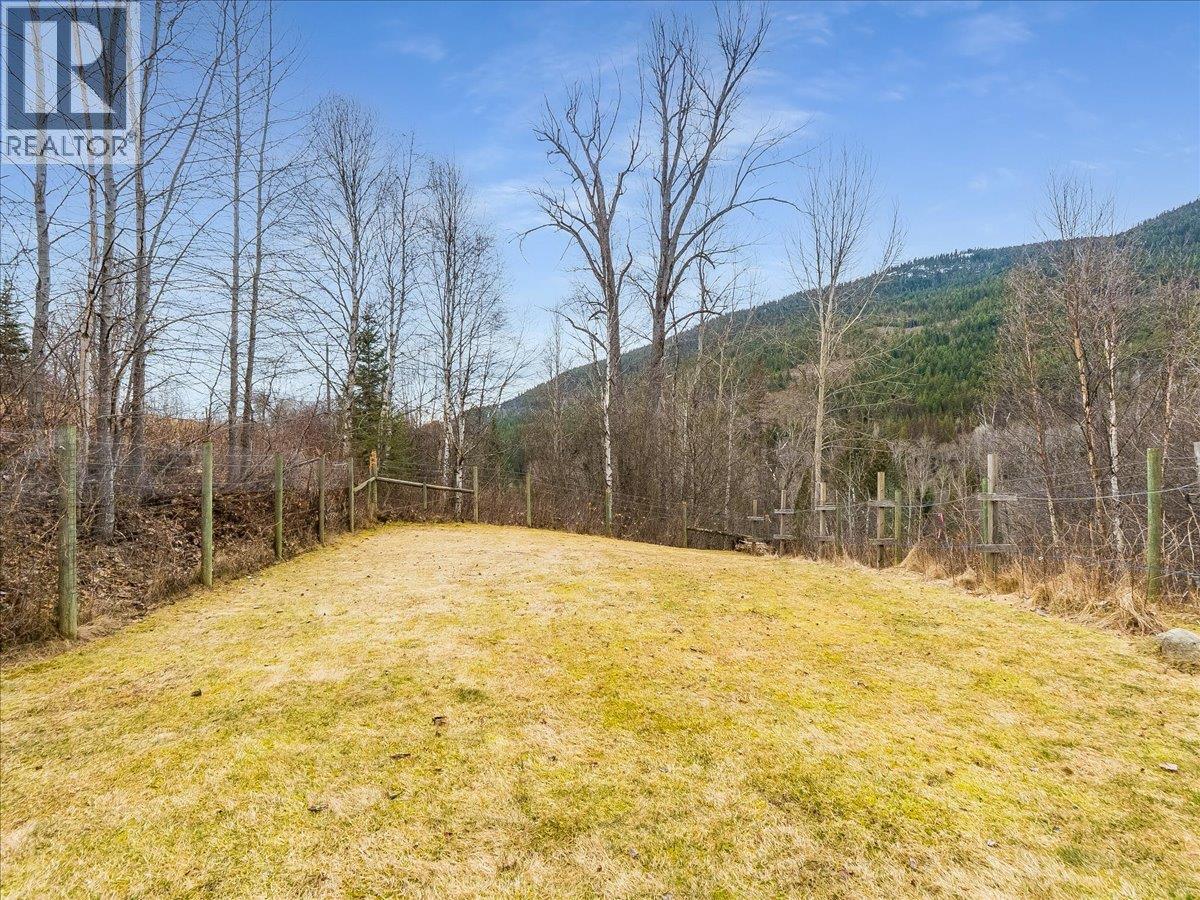 1956 Soukoroff Road, Pass Creek, British Columbia  V1N 4S9 - Photo 52 - 10379134