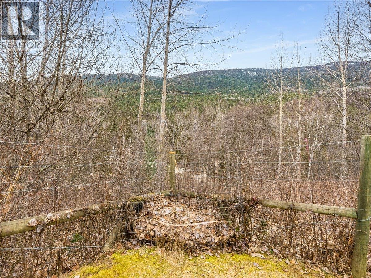 1956 Soukoroff Road, Pass Creek, British Columbia  V1N 4S9 - Photo 60 - 10379134