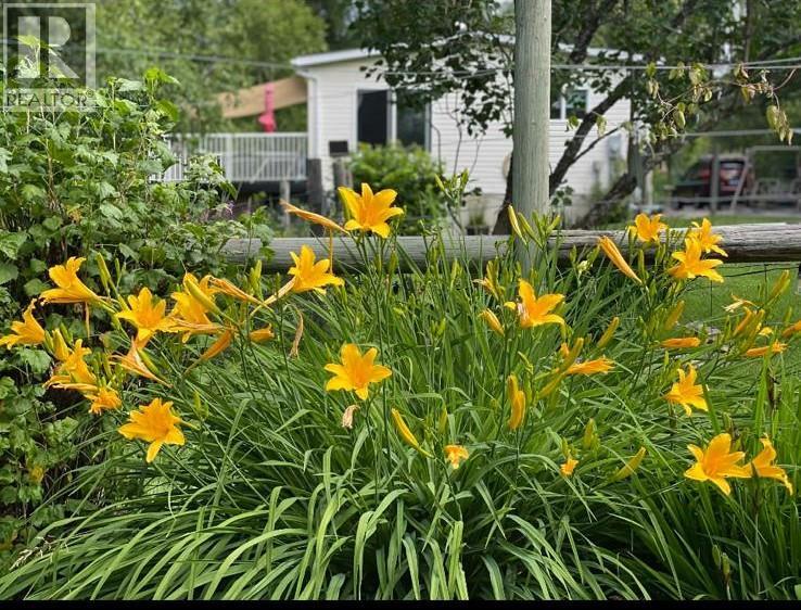 1956 Soukoroff Road, Pass Creek, British Columbia  V1N 4S9 - Photo 11 - 10379134