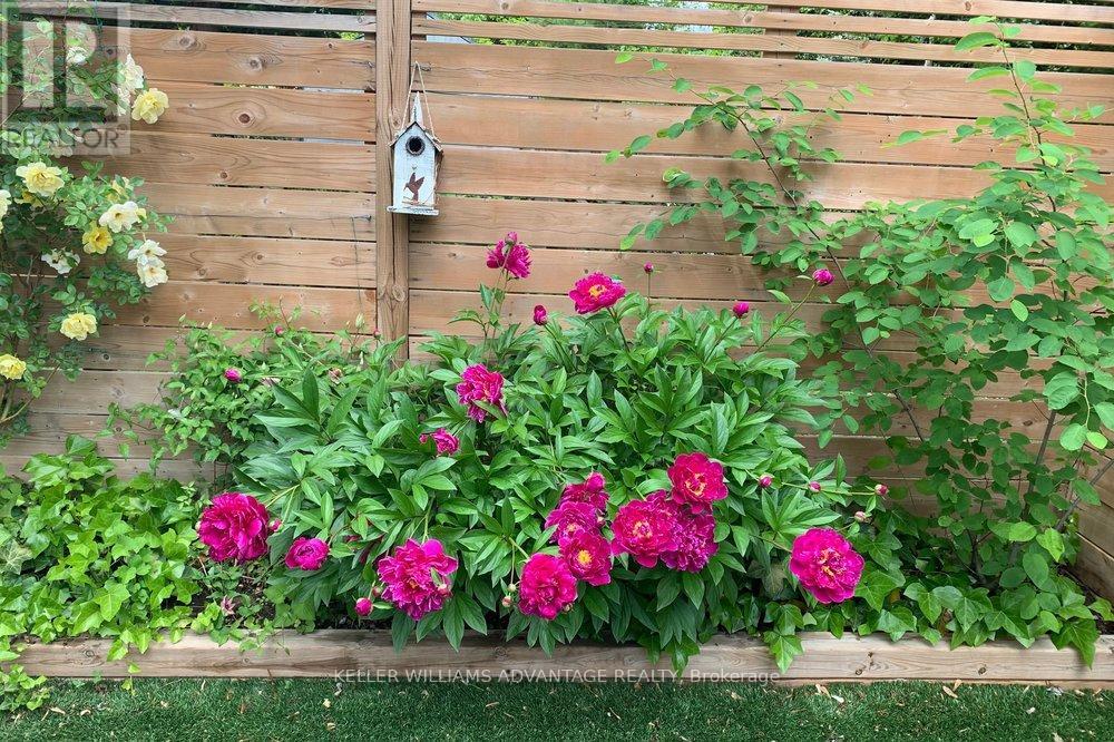 554 Balliol Street, Toronto, Ontario  M4S 1E5 - Photo 48 - C12896268