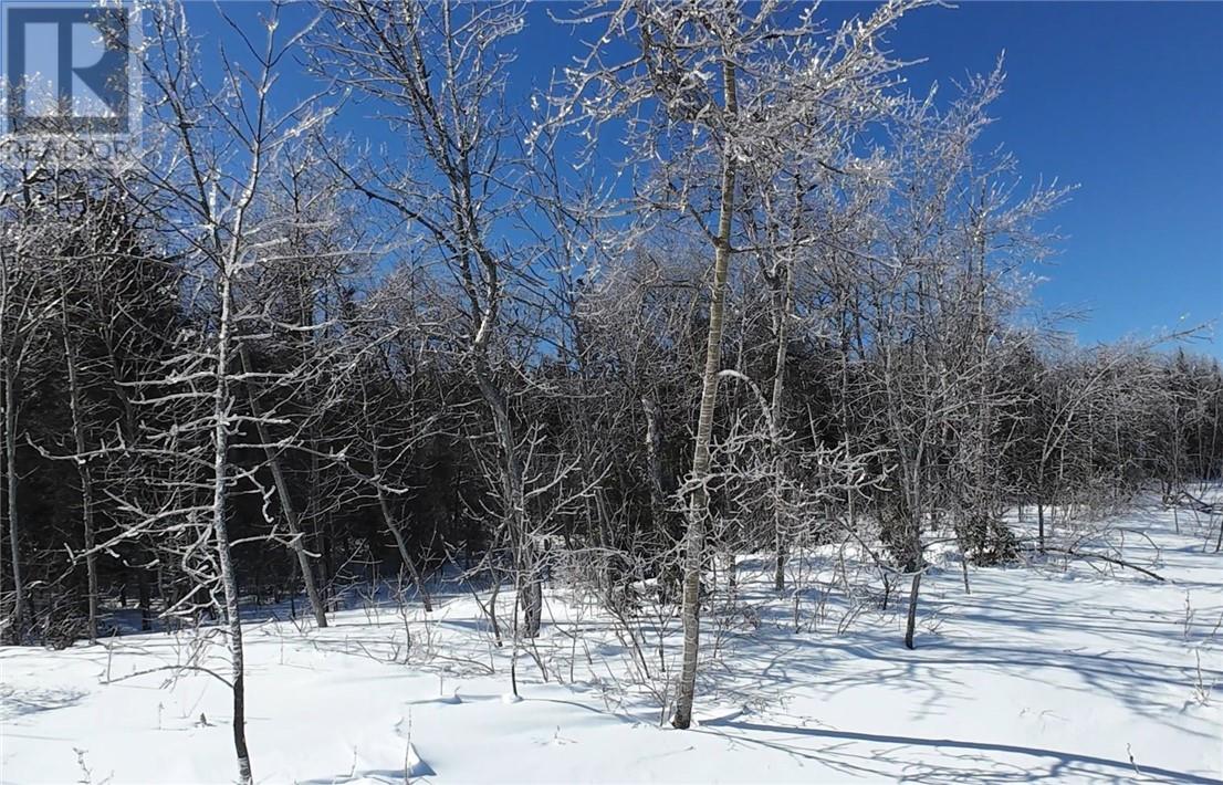 N/a Highway 6, Sheguiandah, Ontario  P0P 1W0 - Photo 13 - 2126797