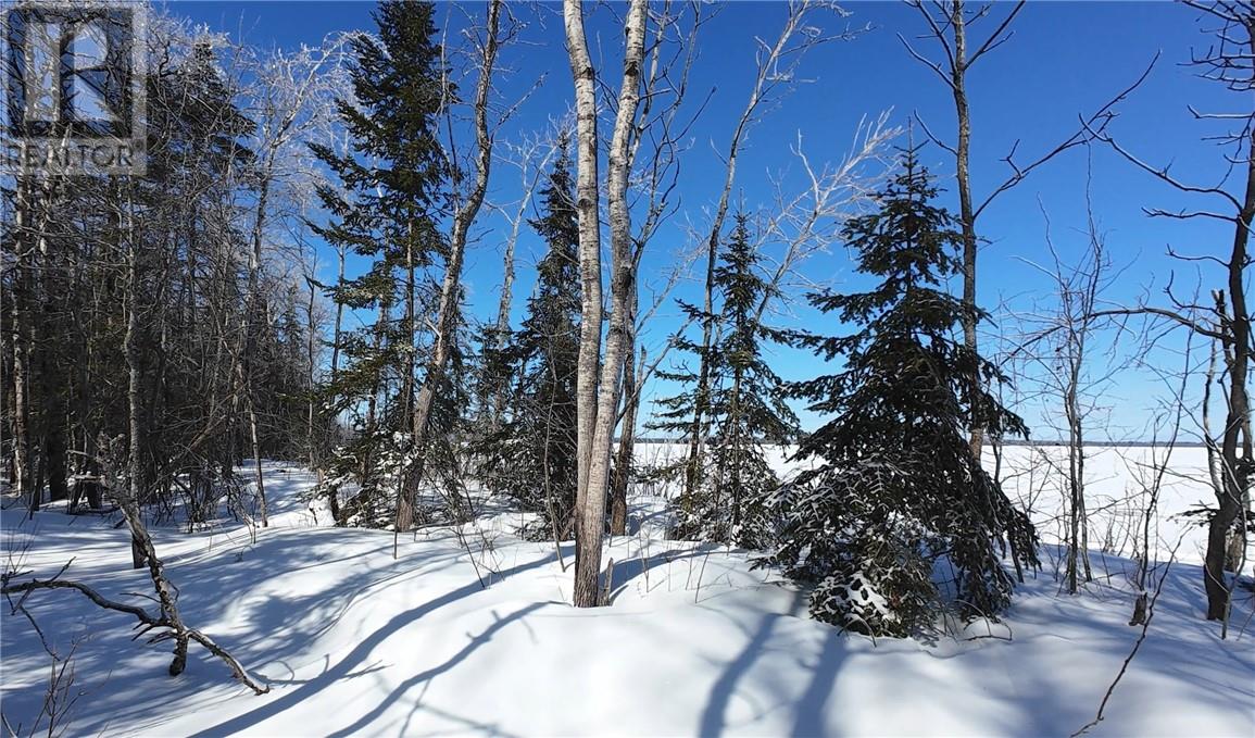 N/a Highway 6, Sheguiandah, Ontario  P0P 1W0 - Photo 19 - 2126797