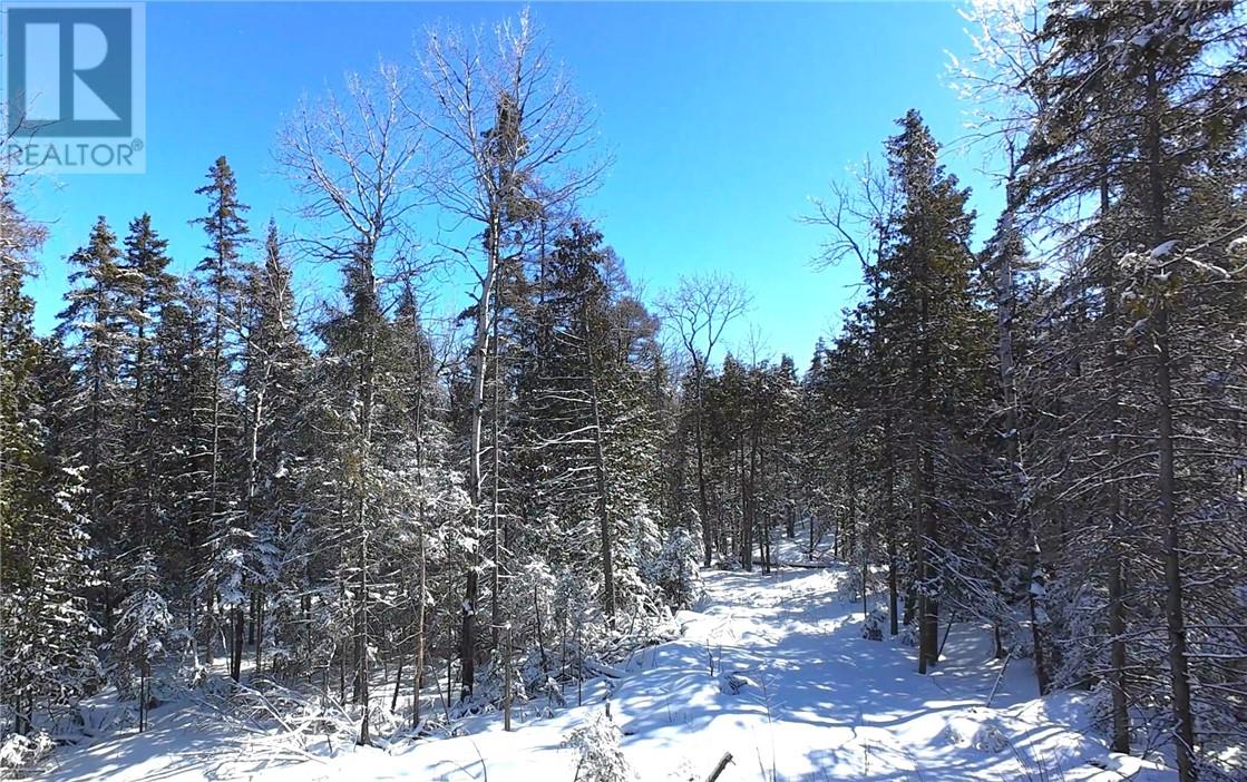 N/a Highway 6, Sheguiandah, Ontario  P0P 1W0 - Photo 18 - 2126797