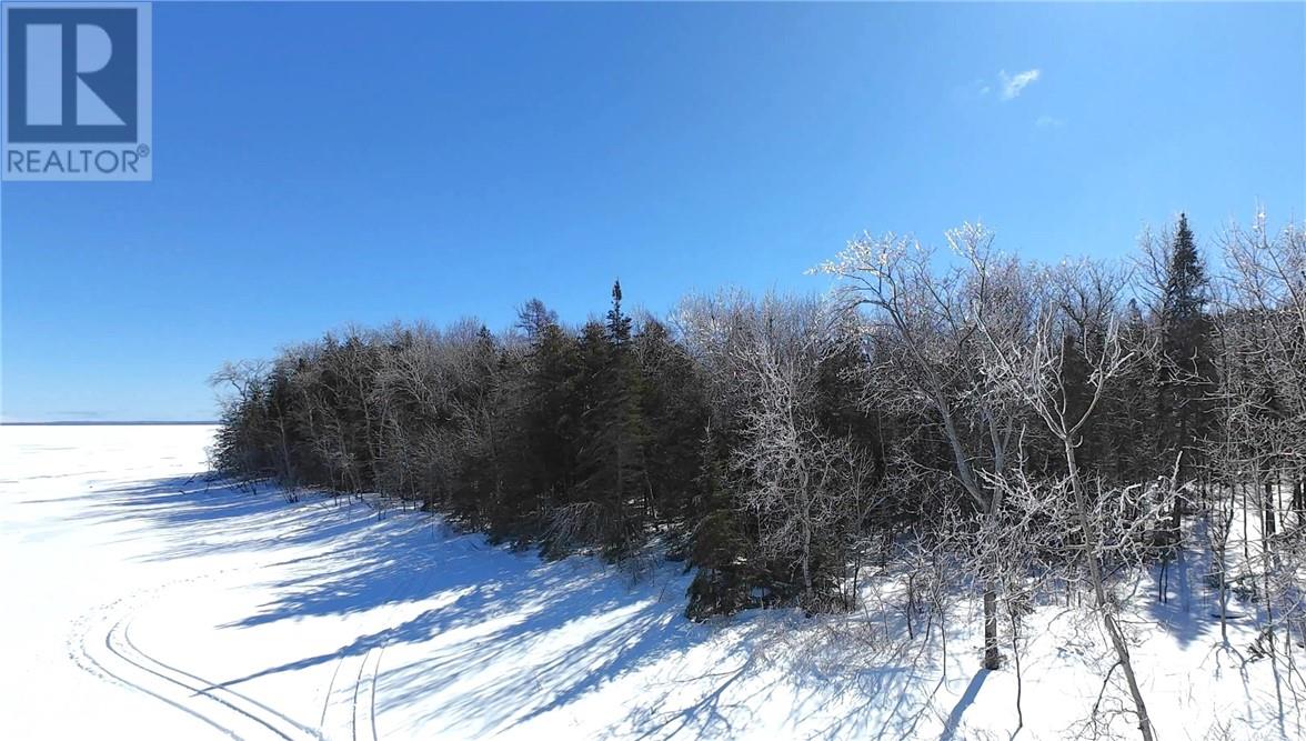 N/a Highway 6, Sheguiandah, Ontario  P0P 1W0 - Photo 8 - 2126797