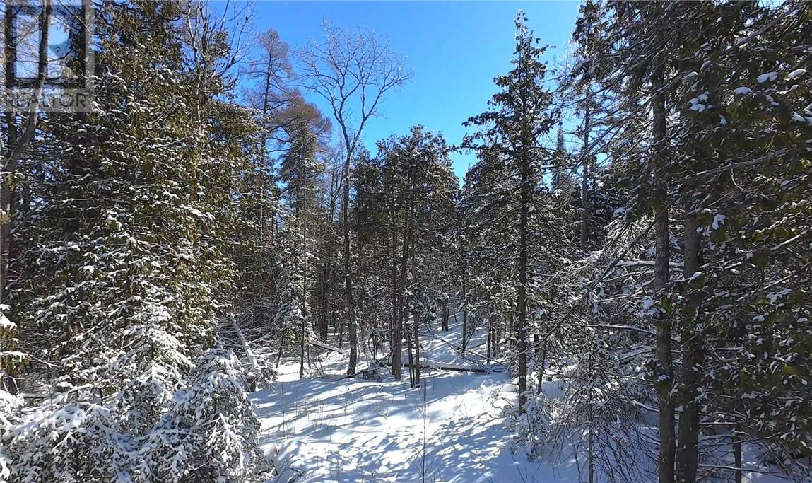 N/a Highway 6, Sheguiandah, Ontario  P0P 1W0 - Photo 13 - 2126799