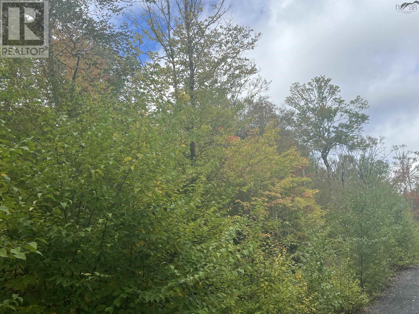 Lot A-7 Russells Cove Road, Parkdale, Nova Scotia  B0R 1A0 - Photo 4 - 202524011