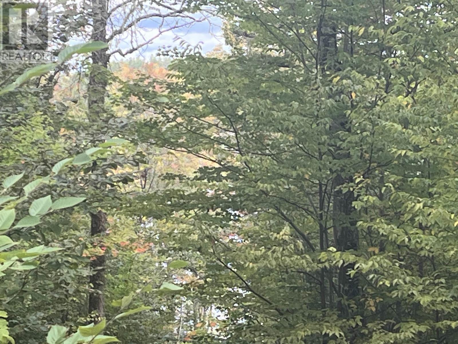 Lot A-7 Russells Cove Road, Parkdale, Nova Scotia  B0R 1A0 - Photo 3 - 202524011