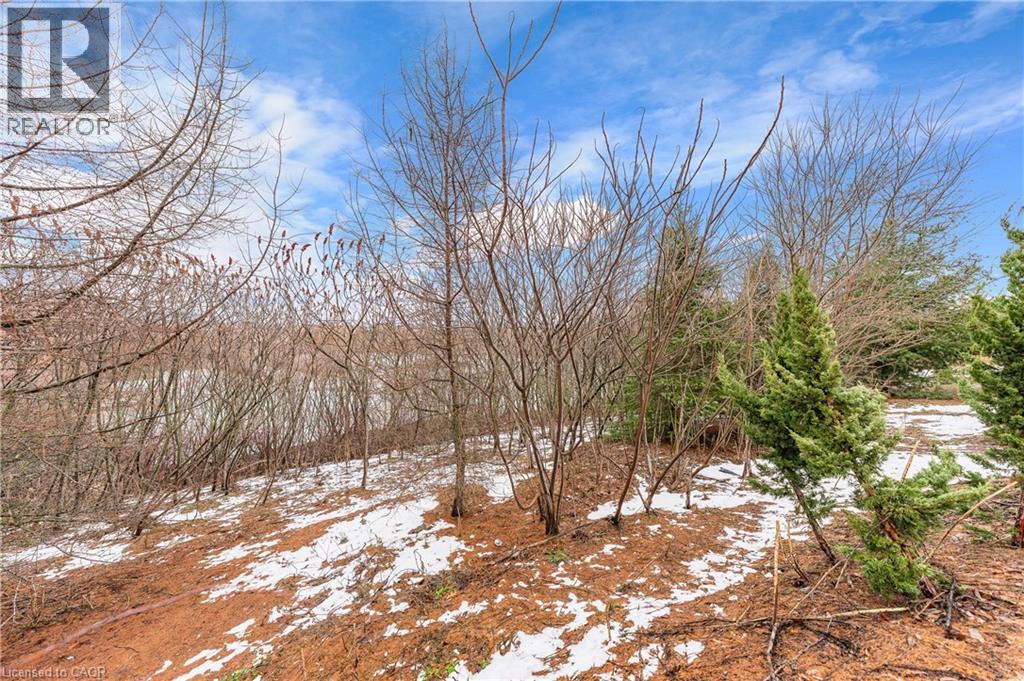 67 Maitland Street, Kitchener, Ontario  N2R 1V2 - Photo 41 - 40811436