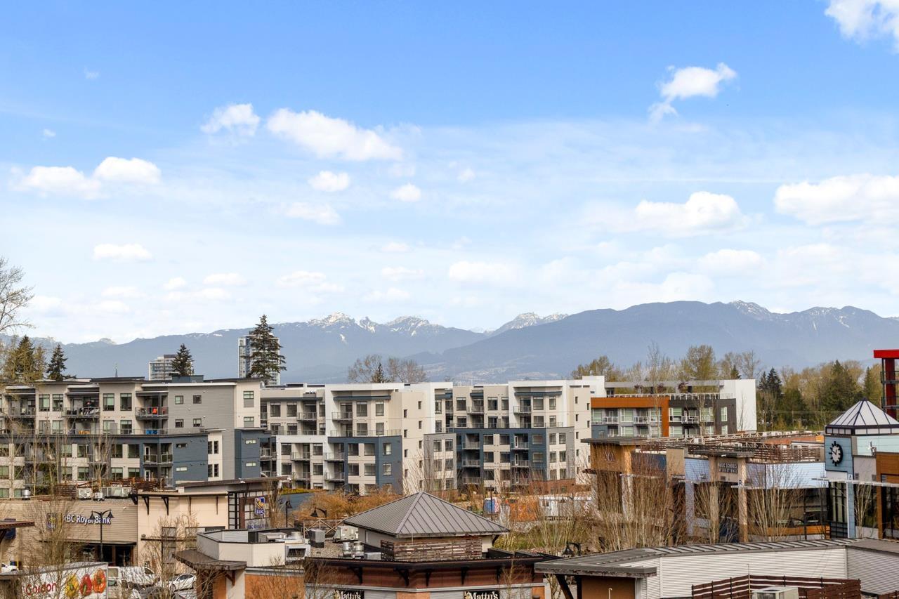 A510 20716 Willoughby Town Centre Drive, Langley, British Columbia  V2Y 3J7 - Photo 30 - R3101124