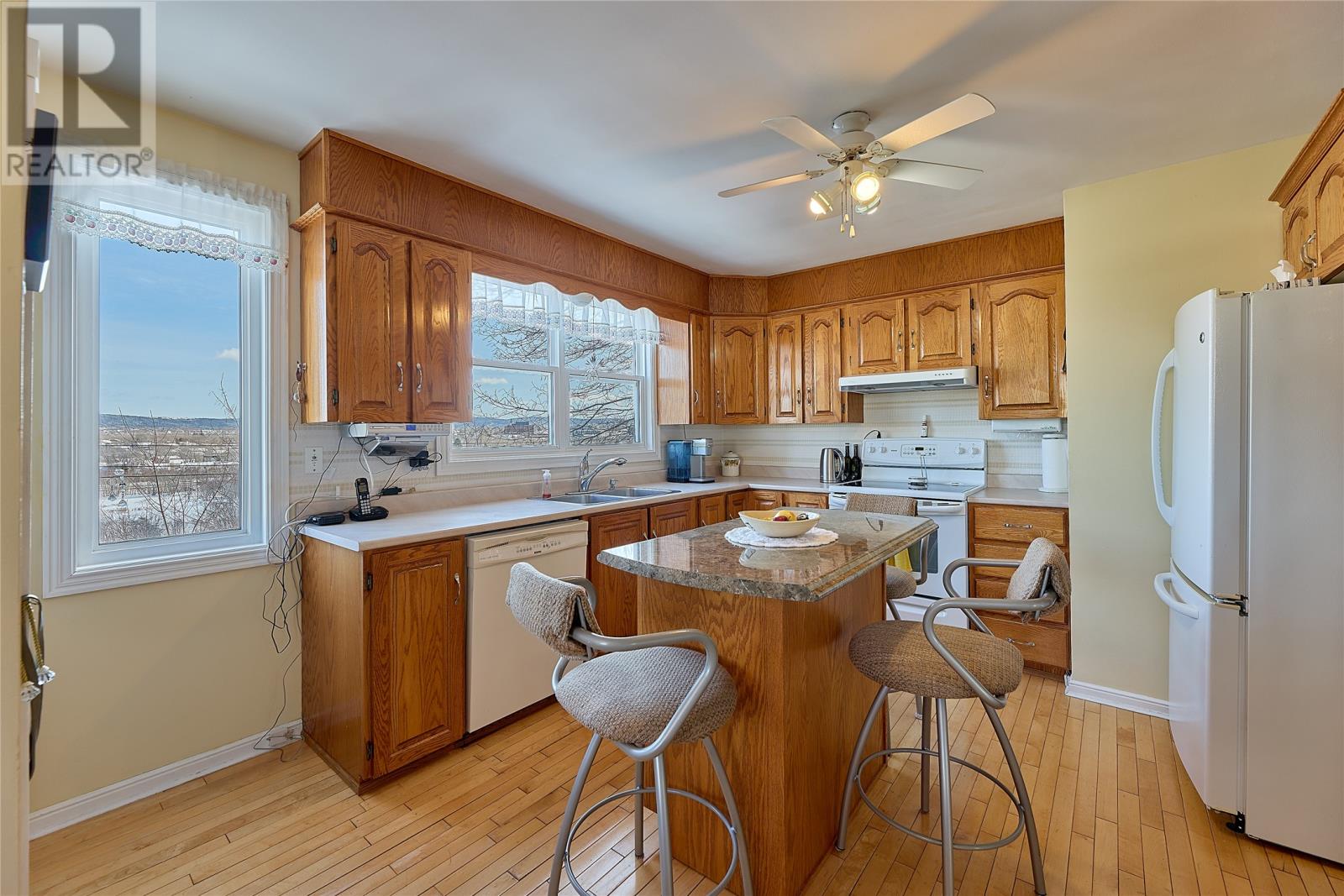 100 Larkhall Street, St. John's, Newfoundland & Labrador  A1B 2C6 - Photo 10 - 1295308