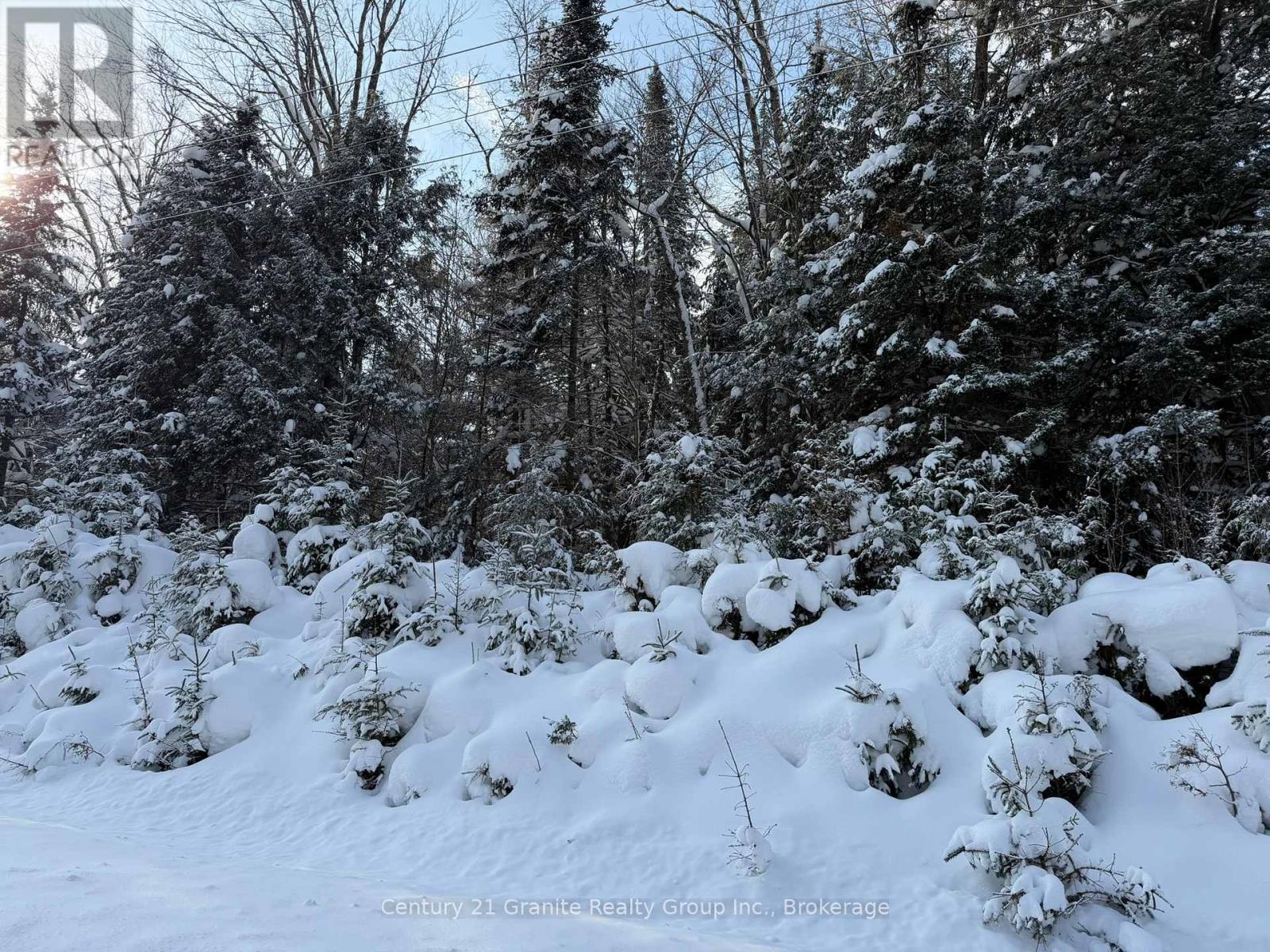 0 Highway 118, Dysart Et Al (Dysart), Ontario  K0M 1S0 - Photo 21 - X12744744