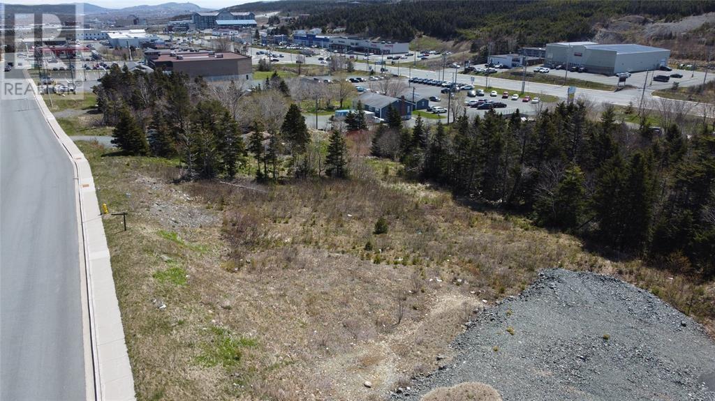 33 Kiwanis Street, St. John's, Newfoundland & Labrador  A1B 0S1 - Photo 5 - 1295364