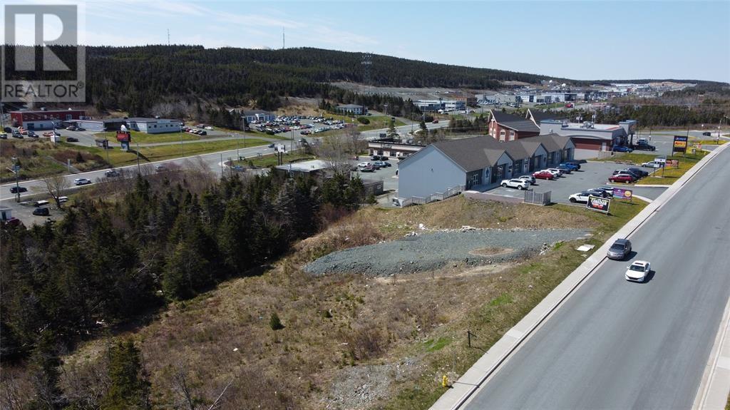 33 Kiwanis Street, St. John's, Newfoundland & Labrador  A1B 0S1 - Photo 6 - 1295364