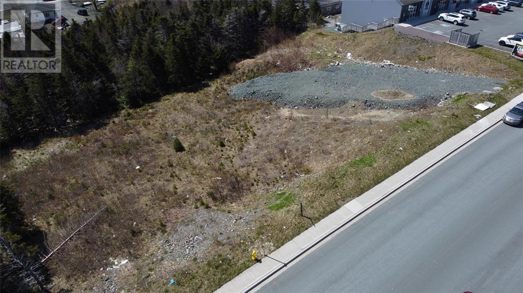 33 Kiwanis Street, St. John's, Newfoundland & Labrador  A1B 0S1 - Photo 8 - 1295364