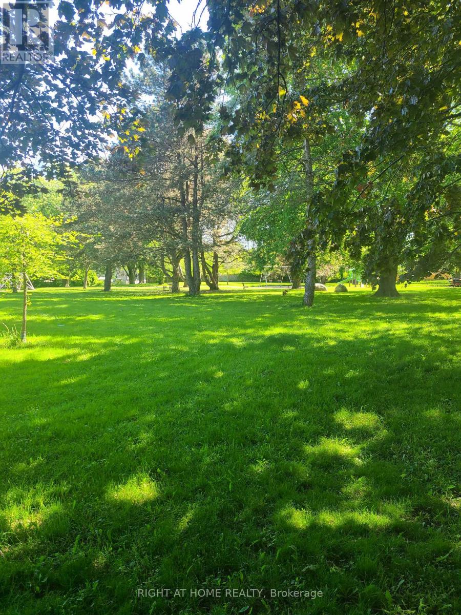 Basement - 29 Ravenview Drive, Toronto, Ontario  M1E 3L9 - Photo 10 - E12896546