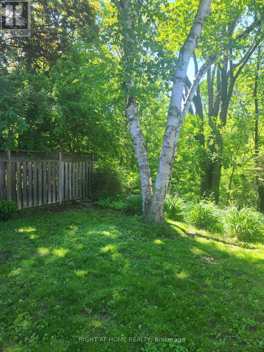 Basement - 29 Ravenview Drive, Toronto, Ontario  M1E 3L9 - Photo 3 - E12896546