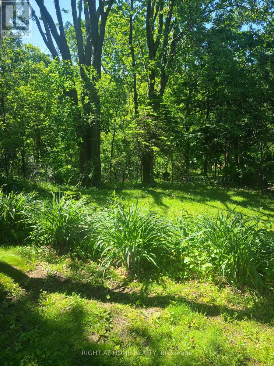 Basement - 29 Ravenview Drive, Toronto, Ontario  M1E 3L9 - Photo 4 - E12896546