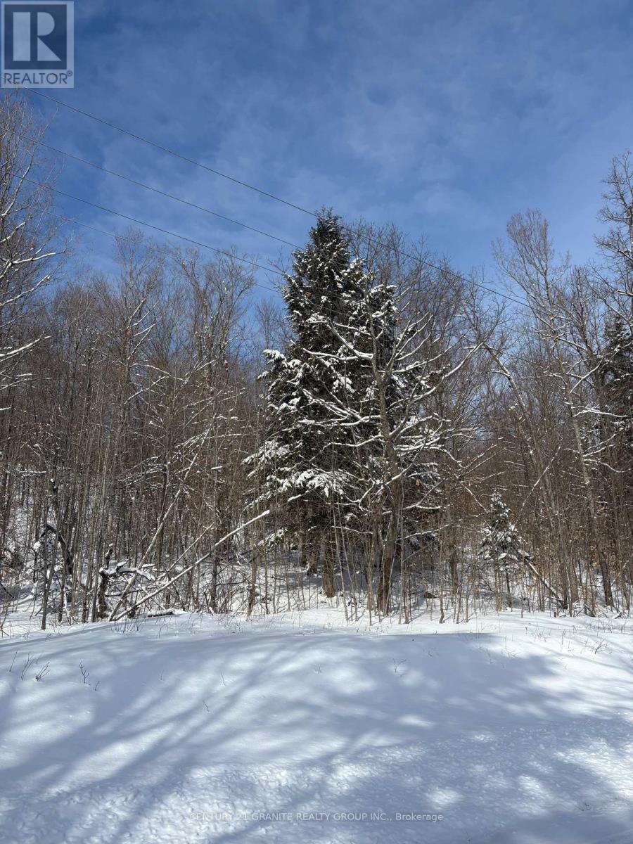 00 Kamaniskeg Lake Road, Hastings Highlands, Ontario  K0J 1L0 - Photo 9 - X12891178