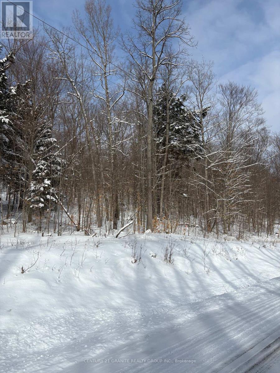 00 Kamaniskeg Lake Road, Hastings Highlands, Ontario  K0J 1L0 - Photo 10 - X12891178