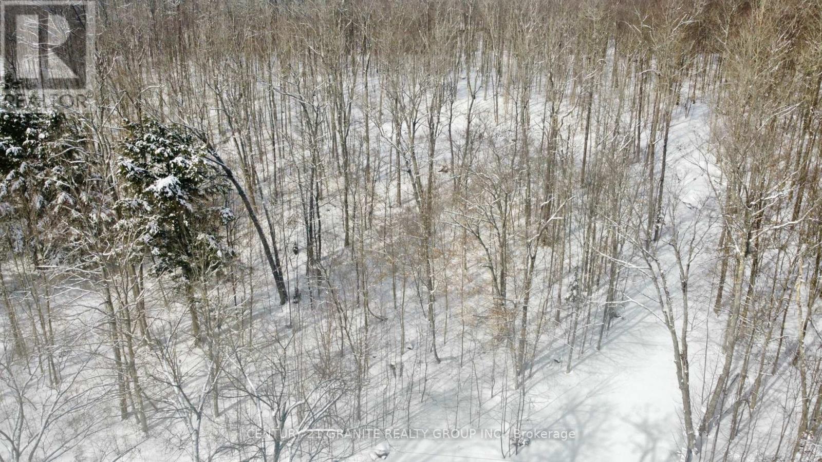 00 Kamaniskeg Lake Road, Hastings Highlands, Ontario  K0J 1L0 - Photo 7 - X12891178