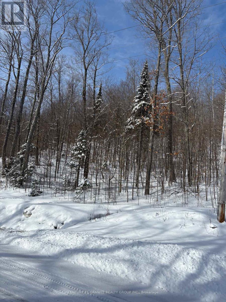 00 Kamaniskeg Lake Road, Hastings Highlands, Ontario  K0J 1L0 - Photo 11 - X12891178