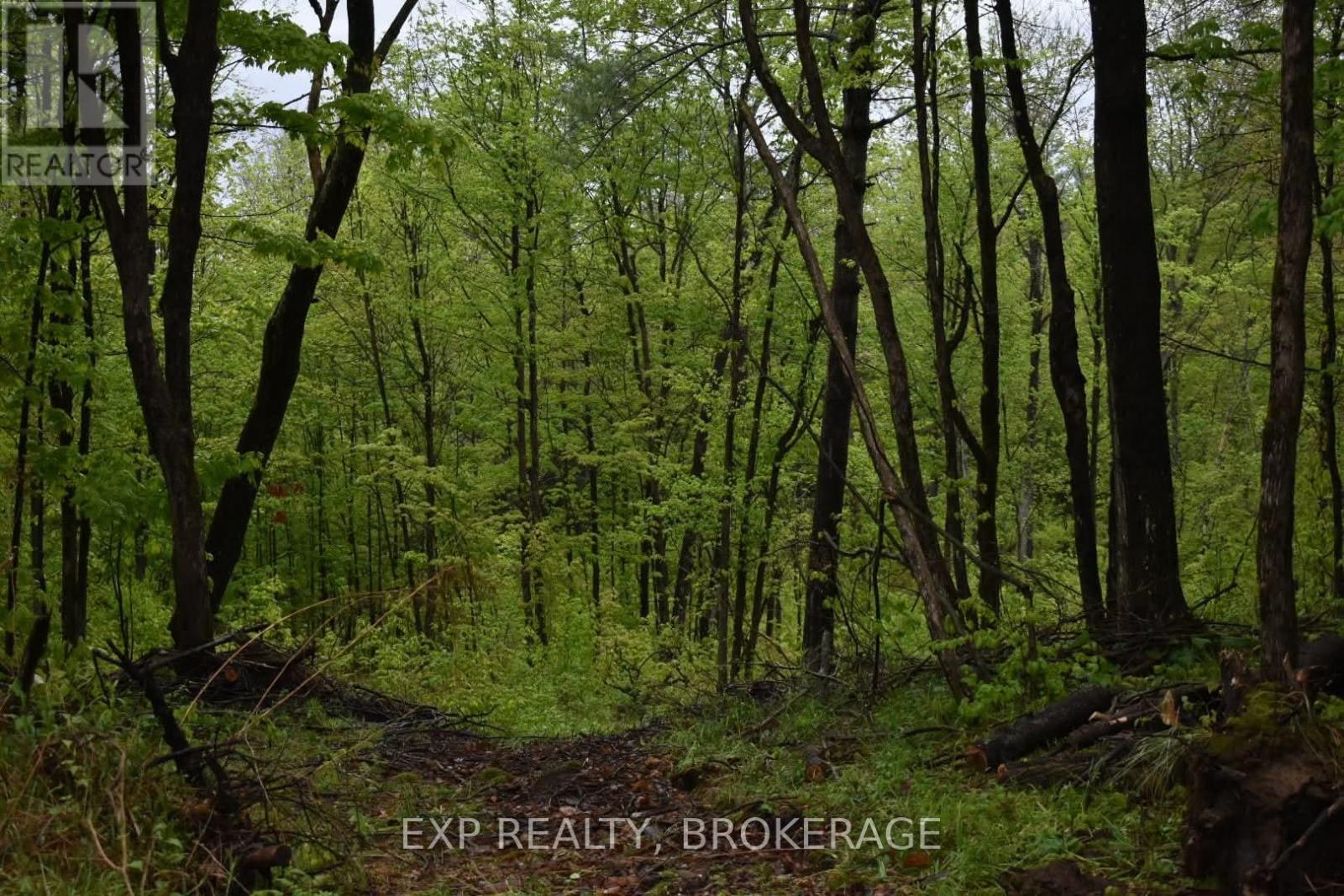 Part Lot 3 Mclean Road, Frontenac (Frontenac Centre), Ontario  K0H 2K0 - Photo 42 - X12894252