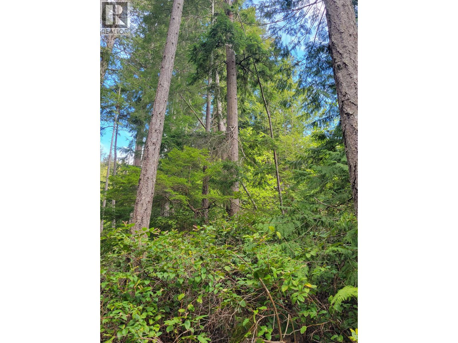 Lot 3 Sinclair Bay Road, Garden Bay, British Columbia  V0N 1S1 - Photo 11 - R3101108