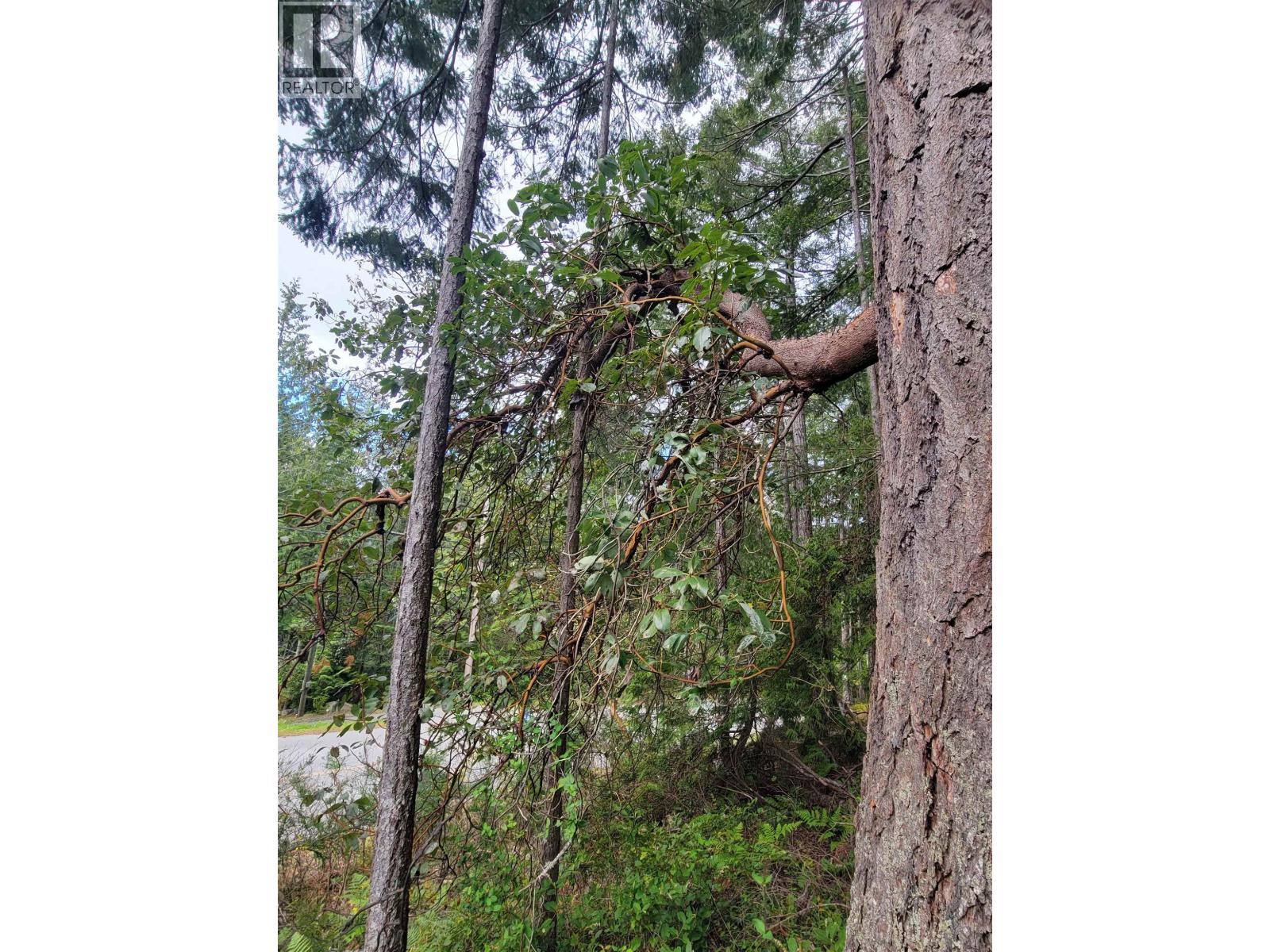 Lot 3 Sinclair Bay Road, Garden Bay, British Columbia  V0N 1S1 - Photo 16 - R3101108