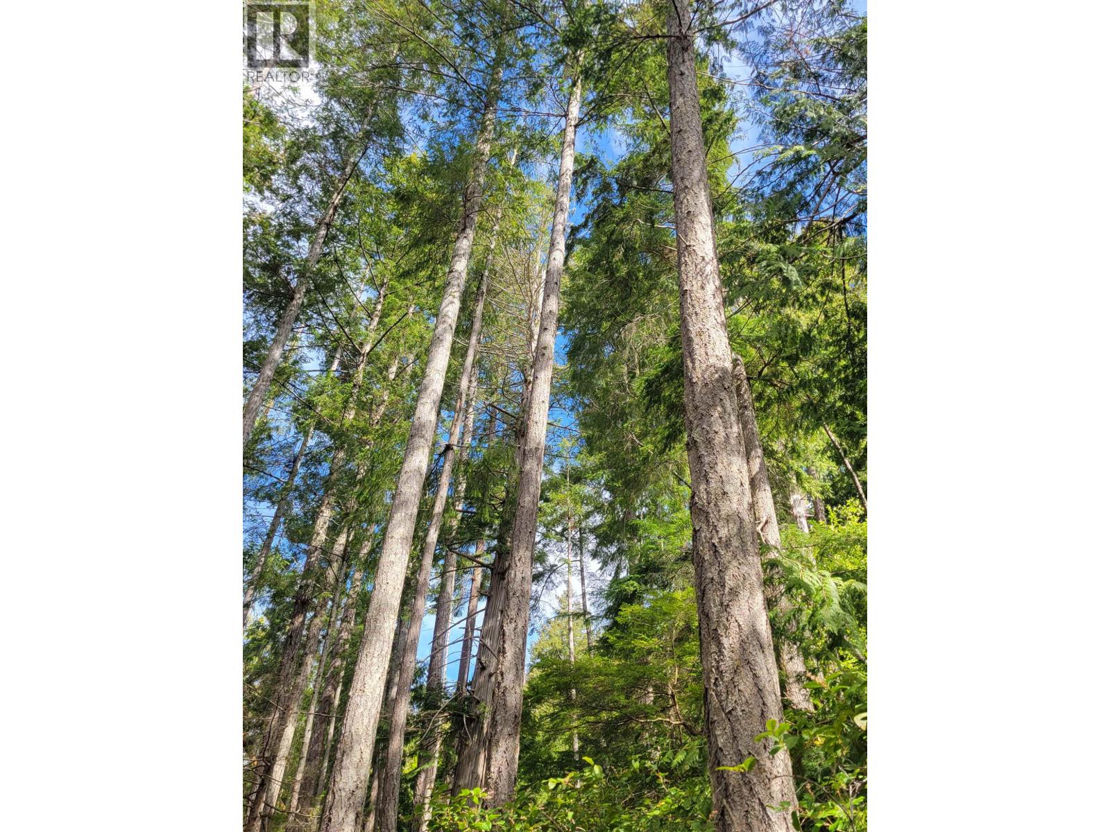 Lot 3 Sinclair Bay Road, Garden Bay, British Columbia  V0N 1S1 - Photo 9 - R3101108