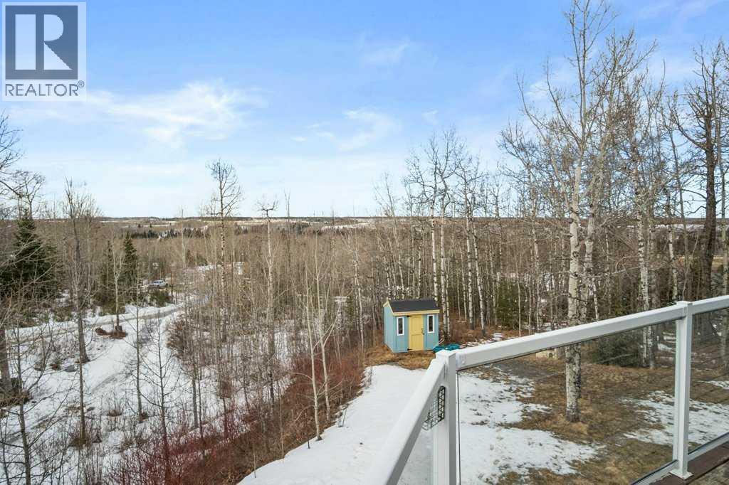 16, 4339 Twp 304, Rural Mountain View County, Alberta  T0M 0R0 - Photo 40 - A2294417