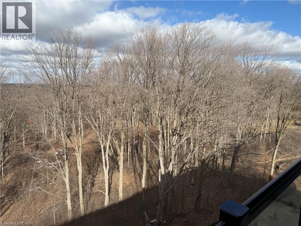 1100 Lackner Place Unit# 521, Kitchener, Ontario  N2A 0M1 - Photo 27 - 40812343