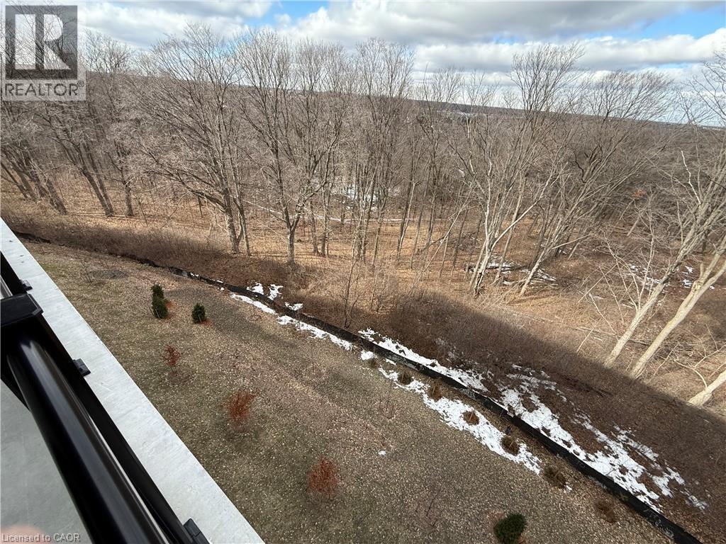 1100 Lackner Place Unit# 521, Kitchener, Ontario  N2A 0M1 - Photo 28 - 40812343