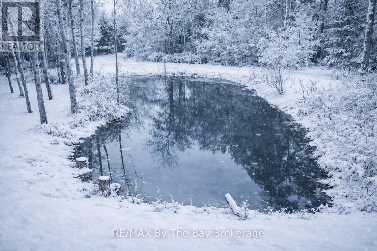 7881 Poplar Side Road, Clearview, Ontario  L9Y 5N4 - Photo 41 - S12896858