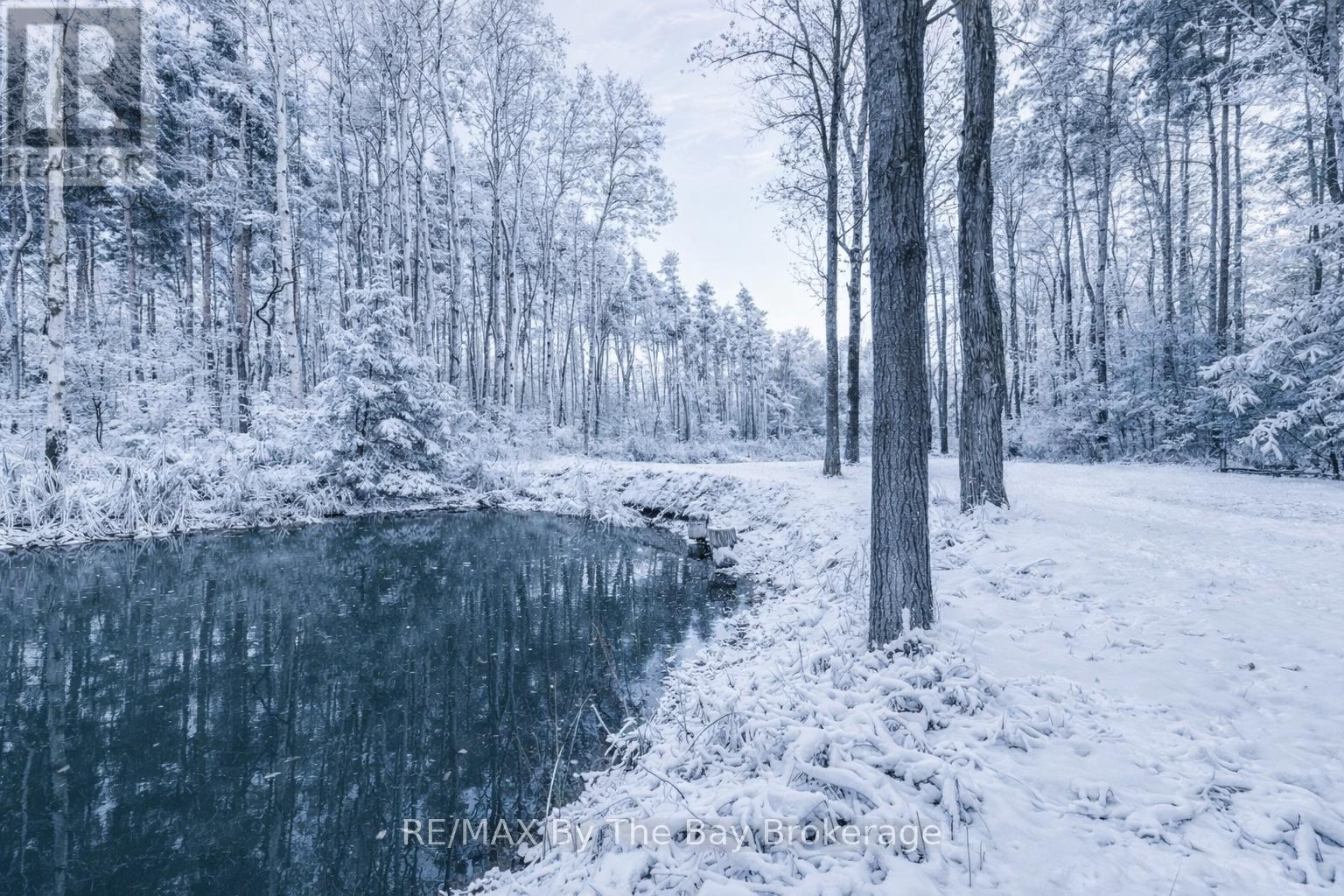 7881 Poplar Side Road, Clearview, Ontario  L9Y 5N4 - Photo 42 - S12896858