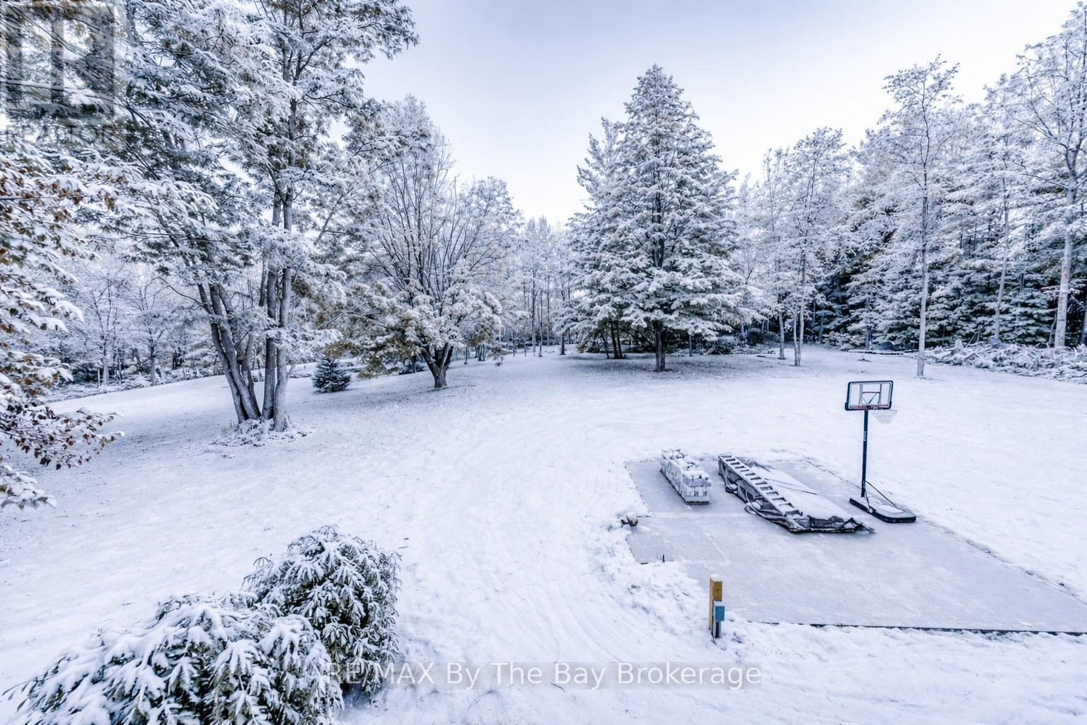 7881 Poplar Side Road, Clearview, Ontario  L9Y 5N4 - Photo 43 - S12896858