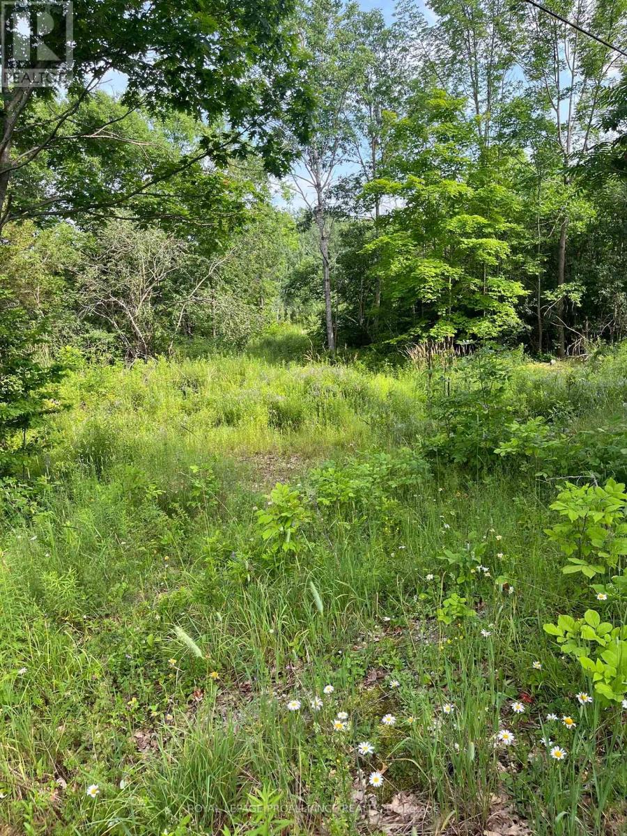 0 Pt Lt 14 Con 3, Rideau Lakes, Ontario  K0G 1X0 - Photo 1 - X12896752