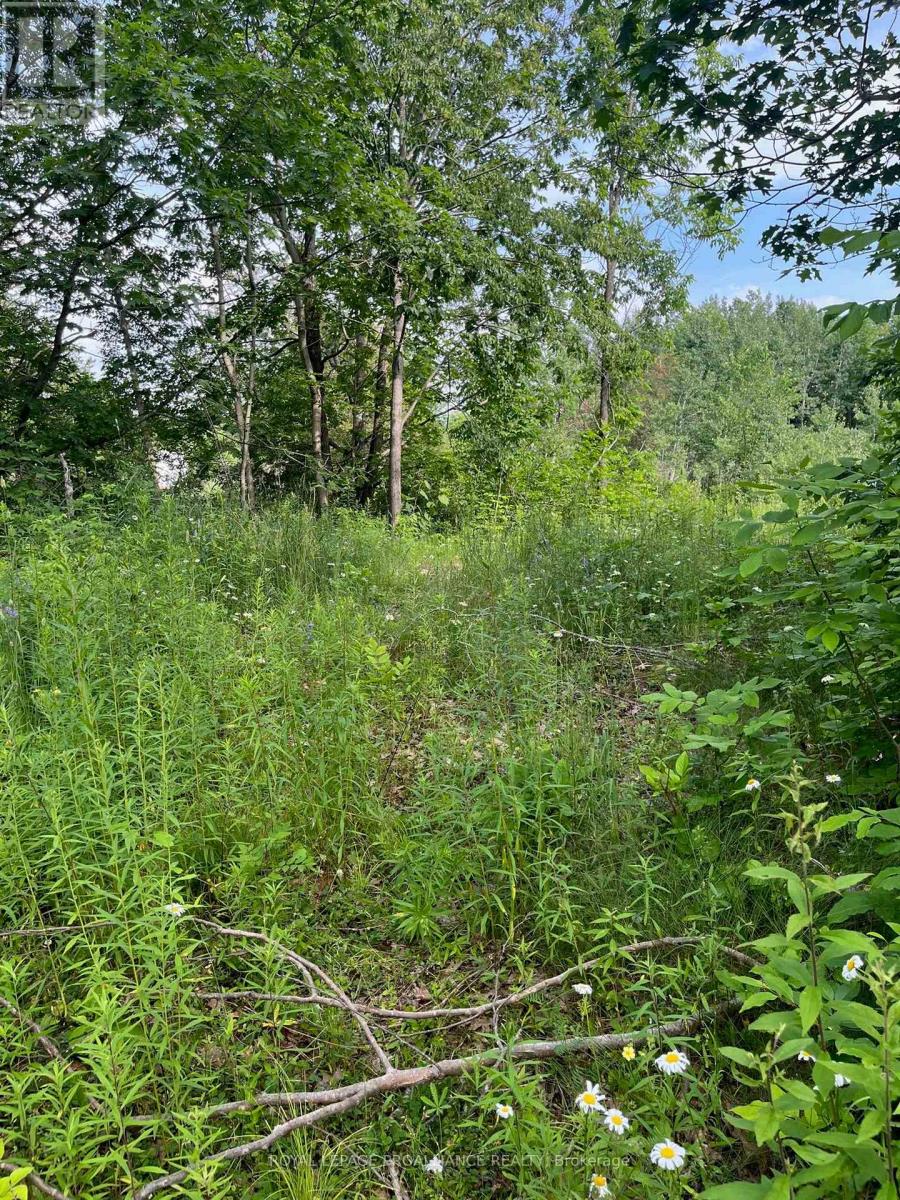 0 Pt Lt 14 Con 3, Rideau Lakes, Ontario  K0G 1X0 - Photo 2 - X12896752