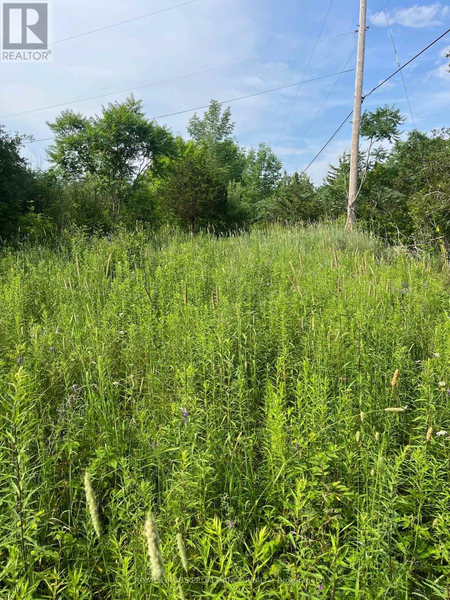 0 Pt Lt 14 Con 3, Rideau Lakes, Ontario  K0G 1X0 - Photo 3 - X12896752