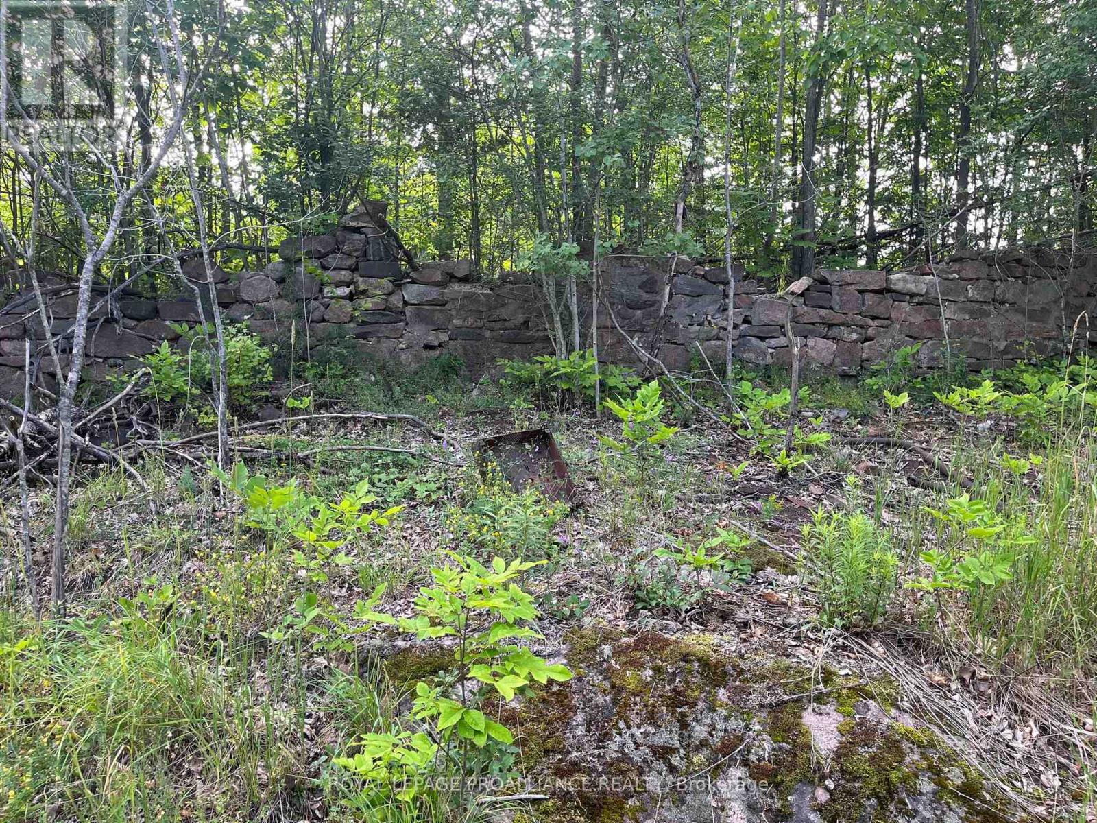 0 Pt Lt 14 Con 3, Rideau Lakes, Ontario  K0G 1X0 - Photo 4 - X12896752