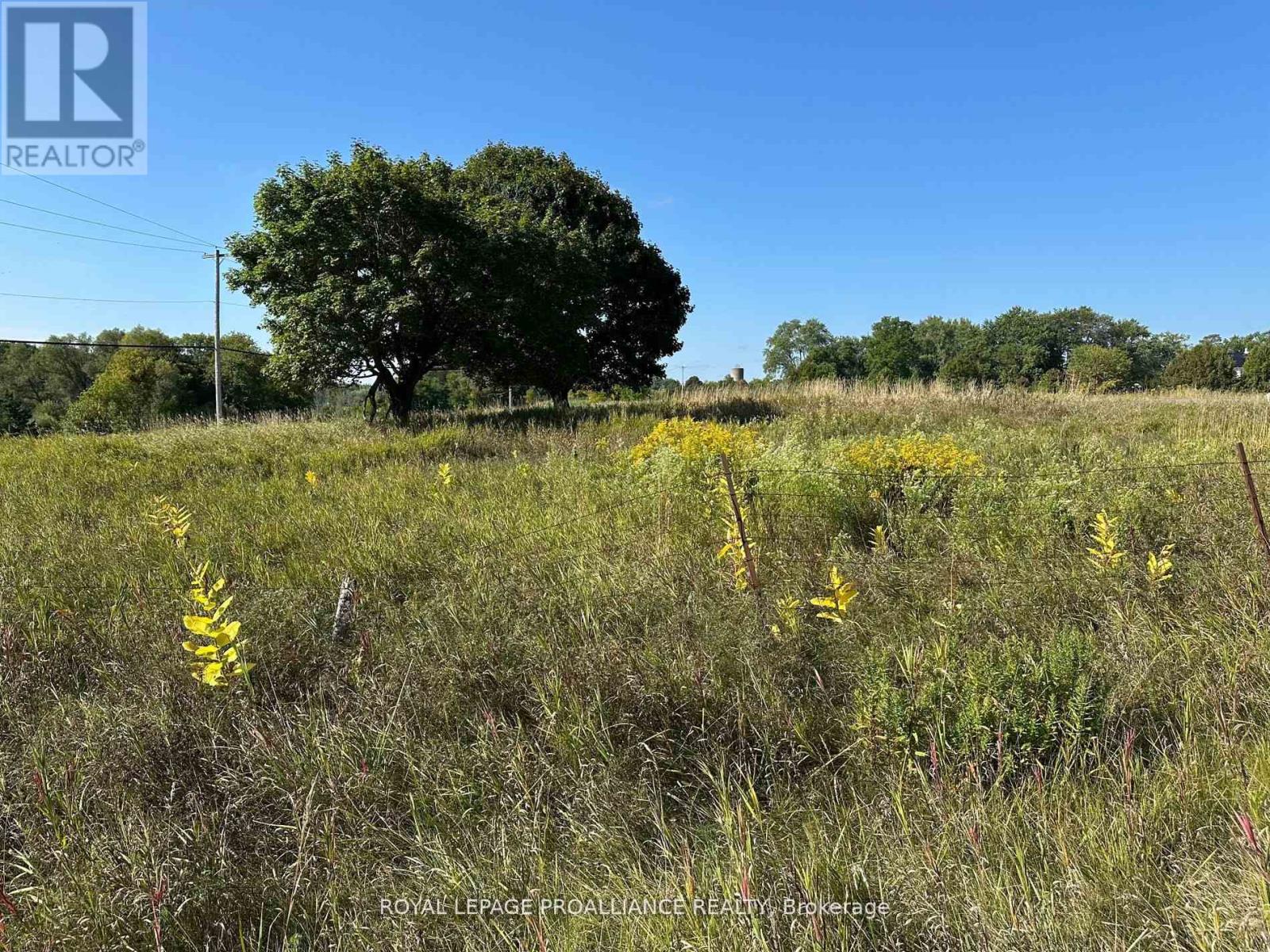Pt Lt 17 - 0 Teal Road, Quinte West, Ontario  K0K 3M0 - Photo 2 - X12896782