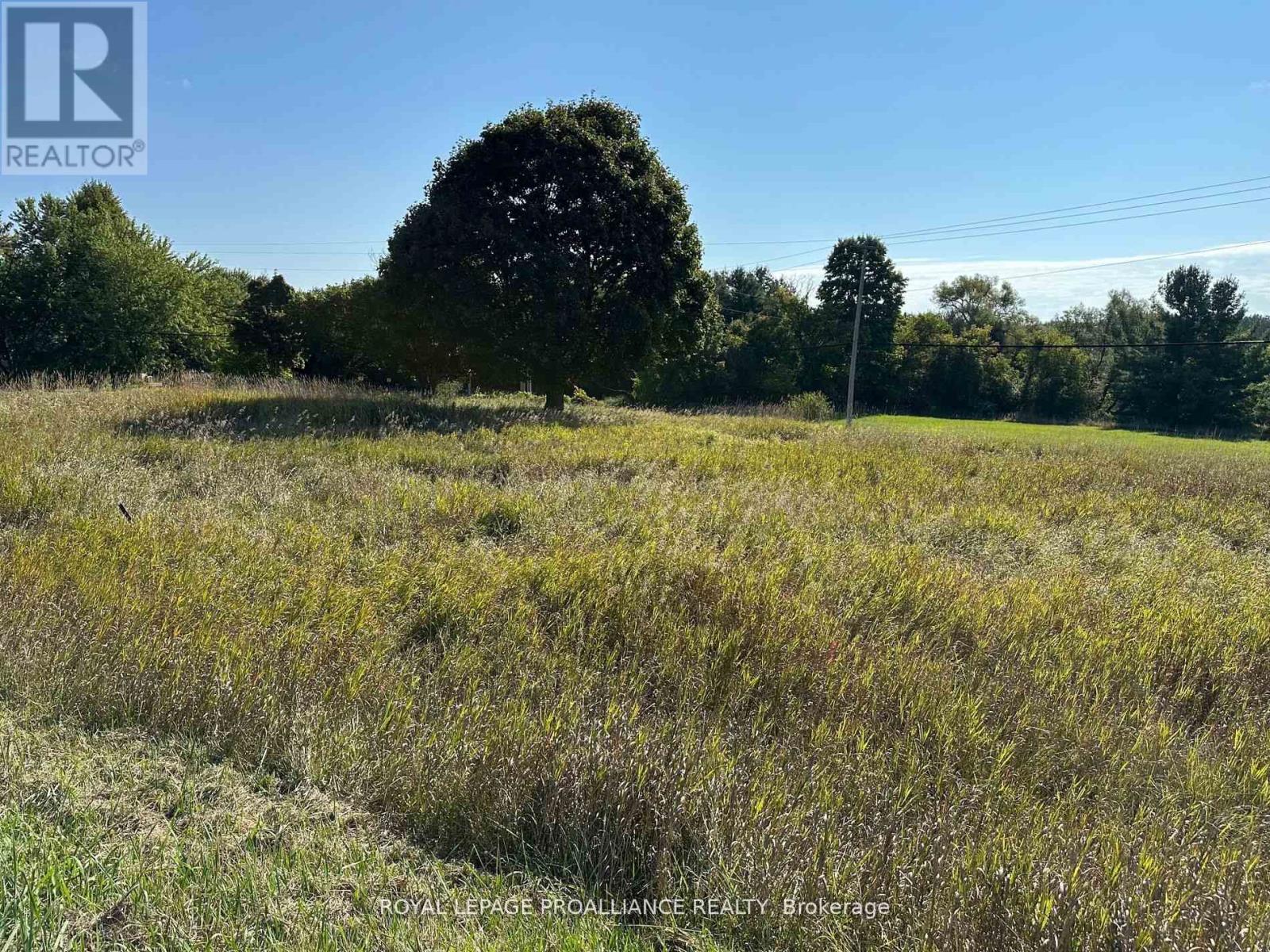 Pt Lt 17 - 0 Teal Road, Quinte West, Ontario  K0K 3M0 - Photo 3 - X12896782