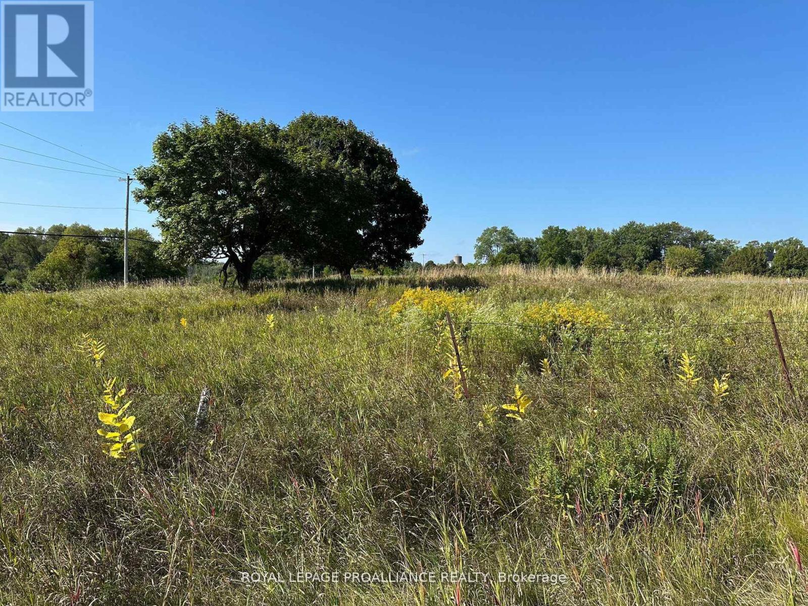 Pt Lt 17 - 0 Teal Road, Quinte West, Ontario  K0K 3M0 - Photo 5 - X12896782