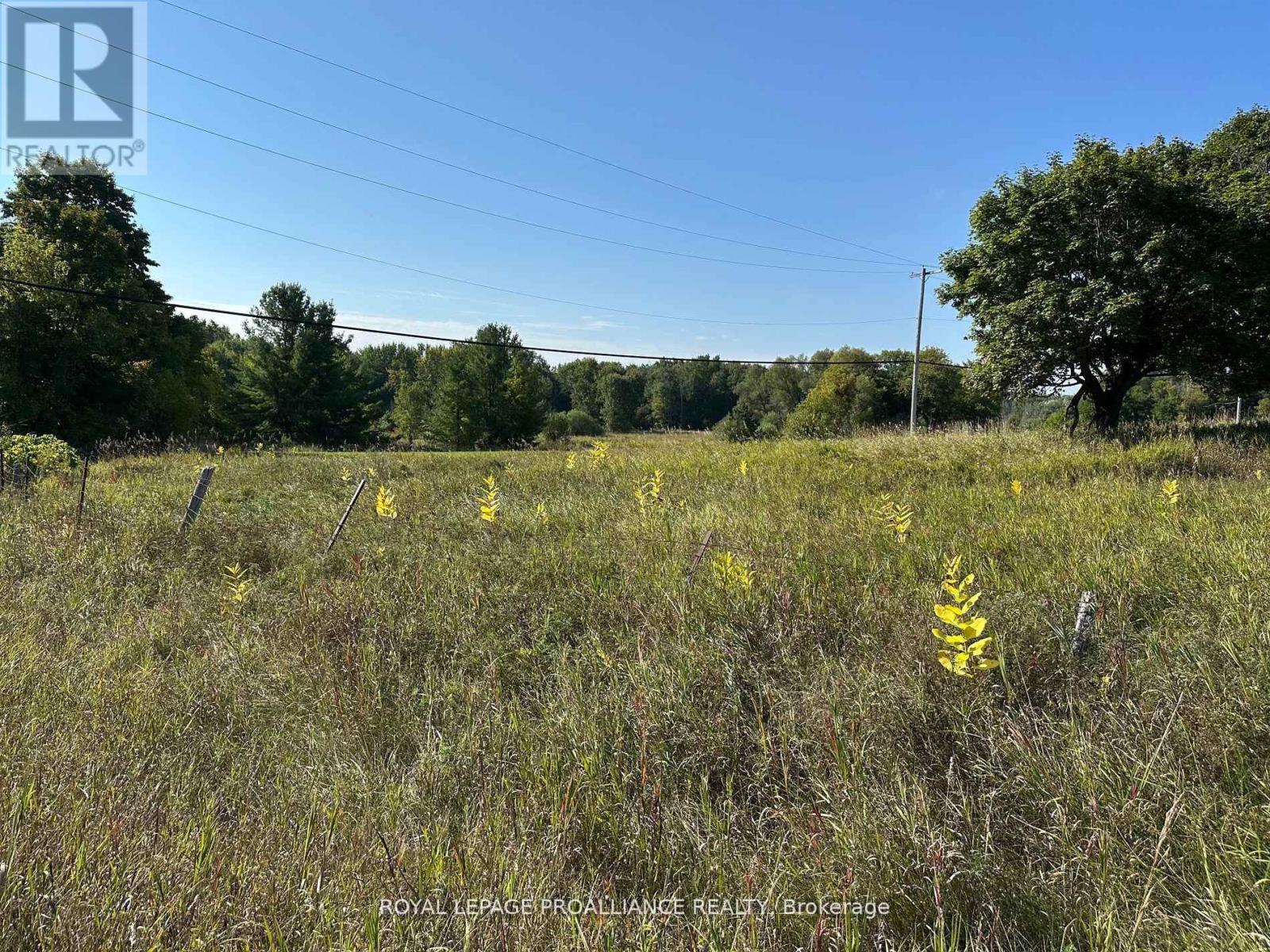 Pt Lt 17 - 0 Teal Road, Quinte West, Ontario  K0K 3M0 - Photo 7 - X12896782