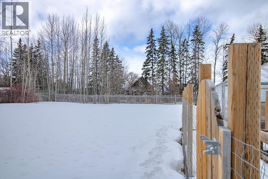 193 W 2nd Avenue, Fort St. James, British Columbia  V0J 1P0 - Photo 34 - R3101095