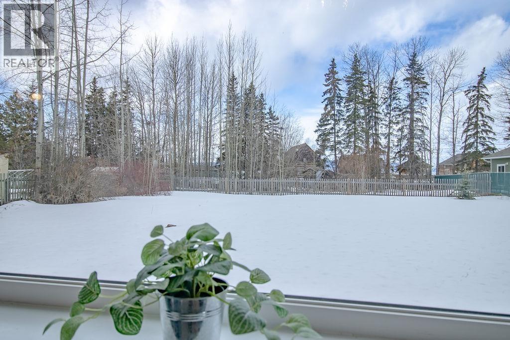 193 W 2nd Avenue, Fort St. James, British Columbia  V0J 1P0 - Photo 31 - R3101095