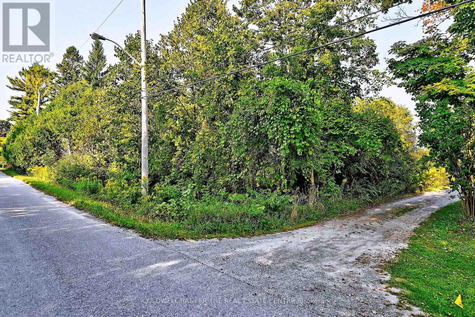 20805 Brock Road, Brock, Ontario  L0E 1E0 - Photo 4 - N12896786