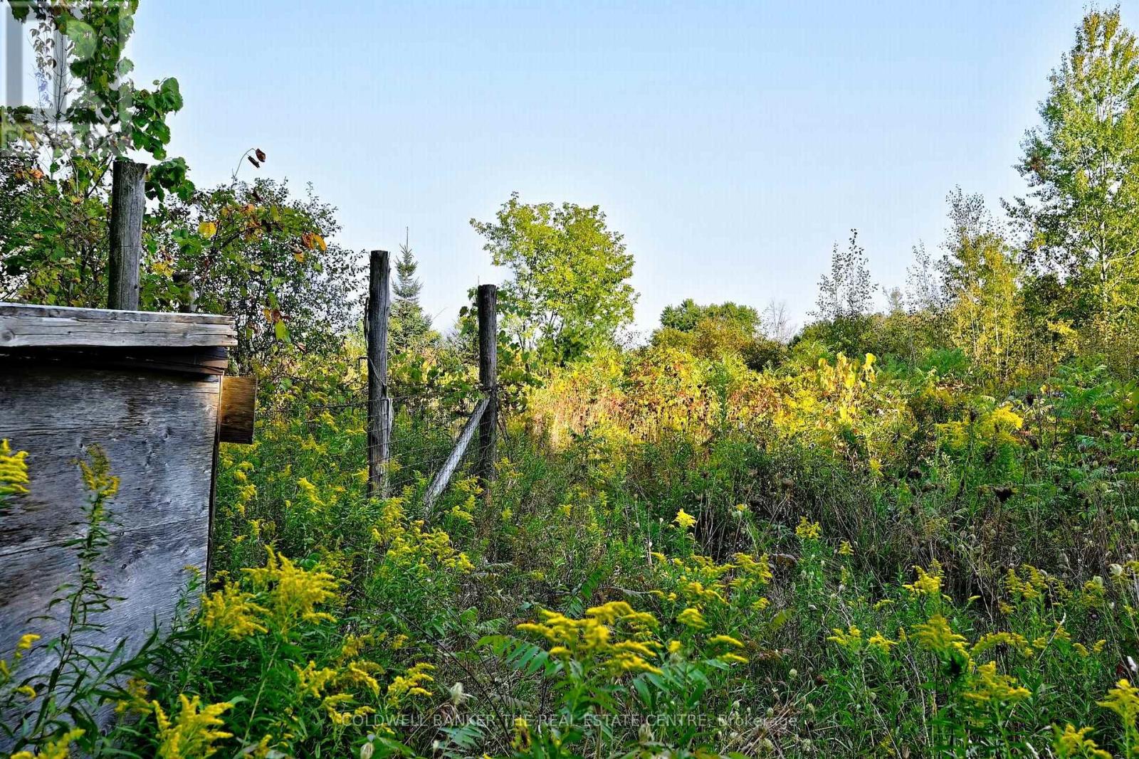 20805 Brock Road, Brock, Ontario  L0E 1E0 - Photo 6 - N12896786