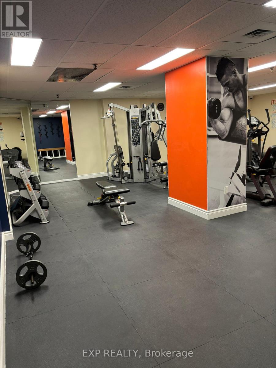 2009 - 236 Albion Road, Toronto, Ontario  M9W 6A6 - Photo 23 - W12896796