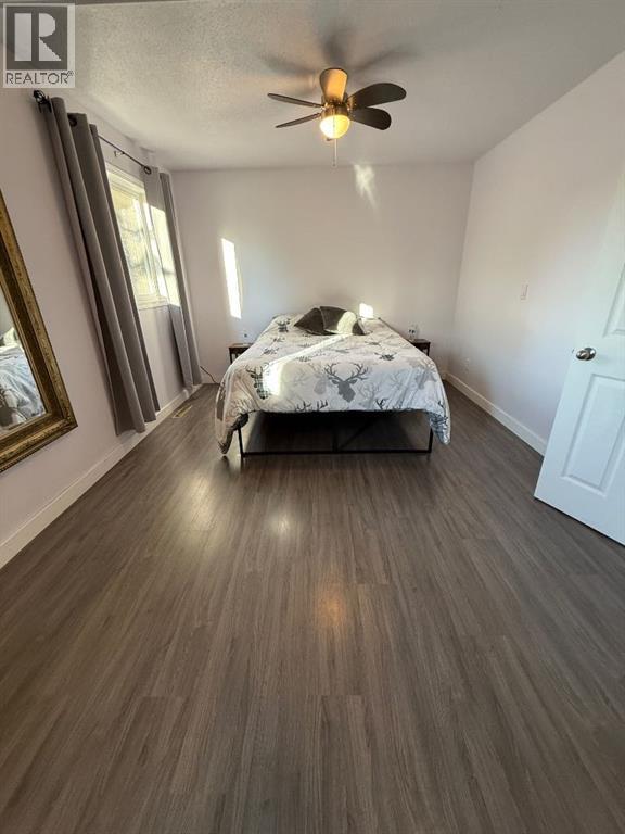 4845 56th Avenue, High Prairie, Alberta  T0G 1E0 - Photo 10 - A2272386