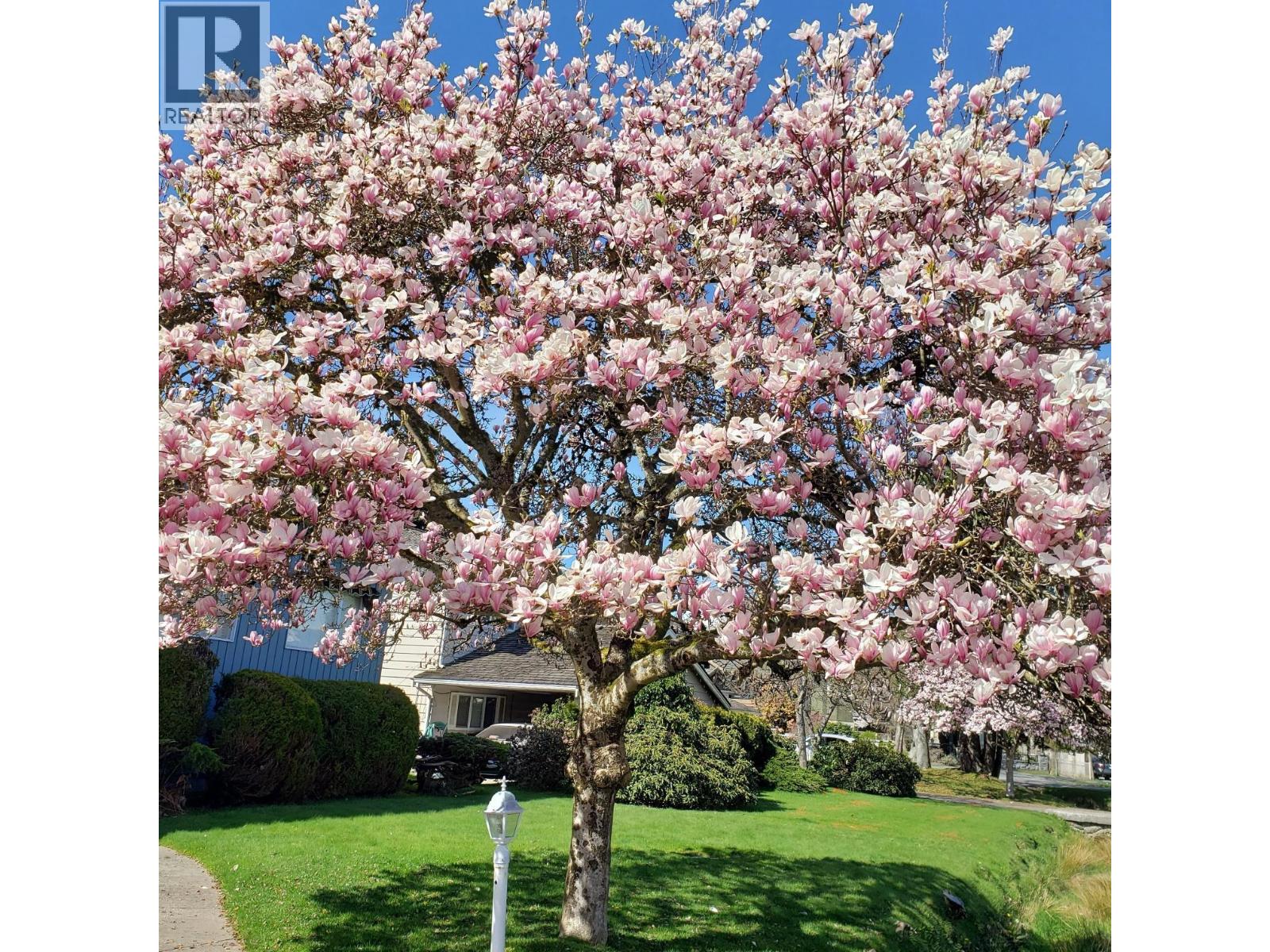 6220 Chatsworth Road, Richmond, British Columbia  V7C 3S3 - Photo 38 - R3100792